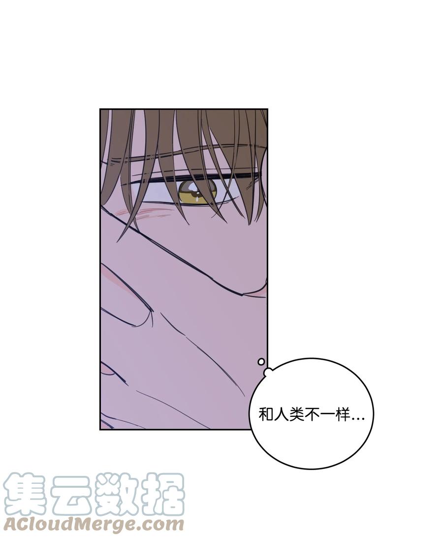 《心跳加速的合租生活》51 哥哥的谎言 第34页