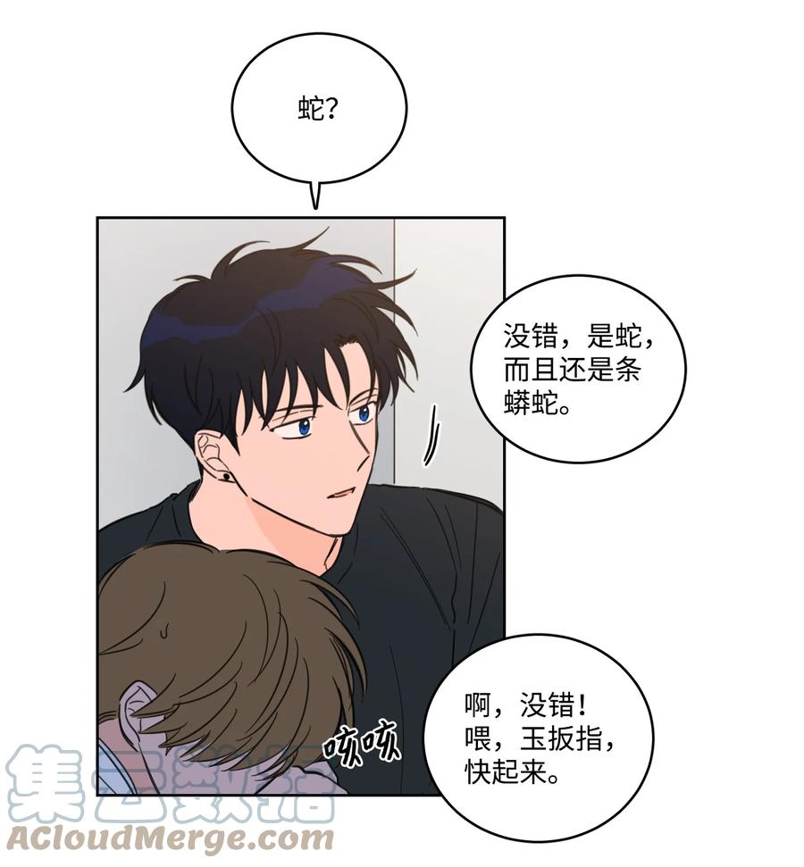 《心跳加速的合租生活》56 蟒蛇的诅咒 第16页
