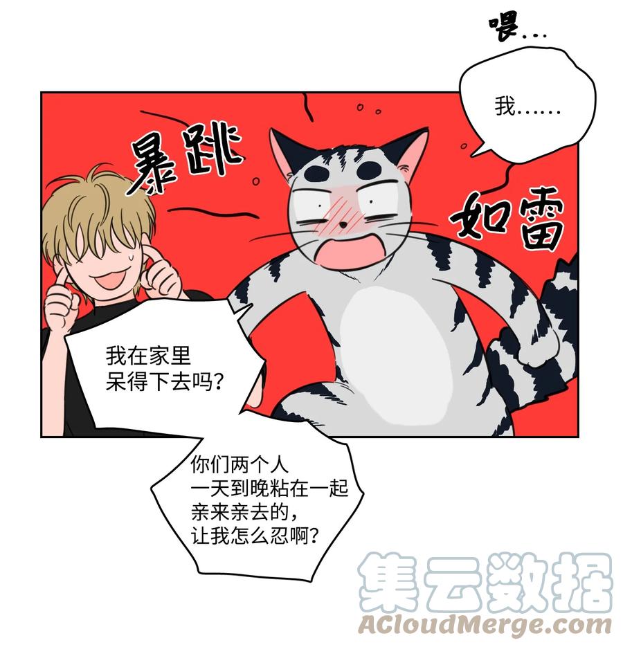 《心跳加速的合租生活》56 蟒蛇的诅咒 第4页