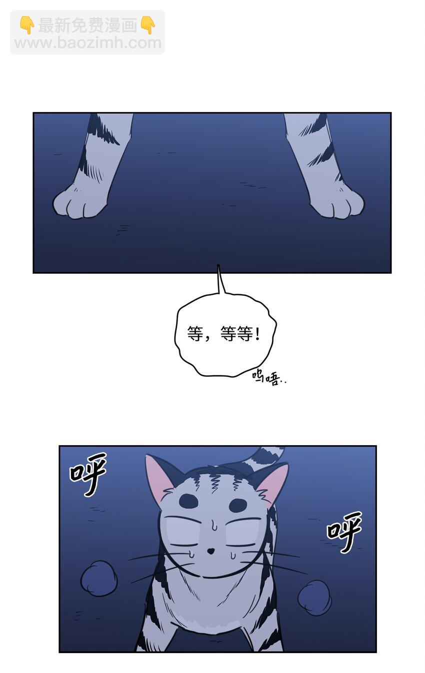 《心跳加速的合租生活》91 梦境会面 第47页