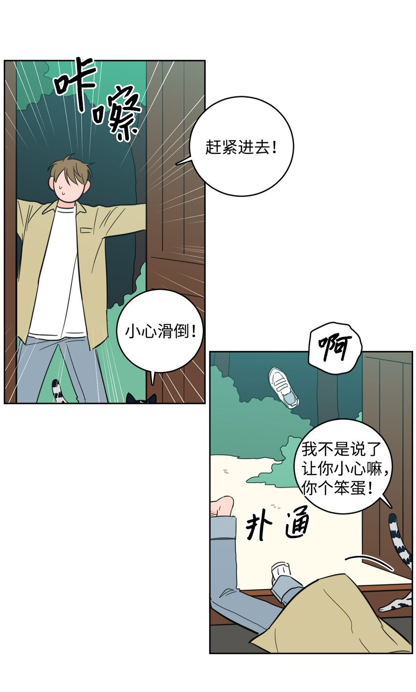 《心跳加速的合租生活》100 回到阳间 第38页