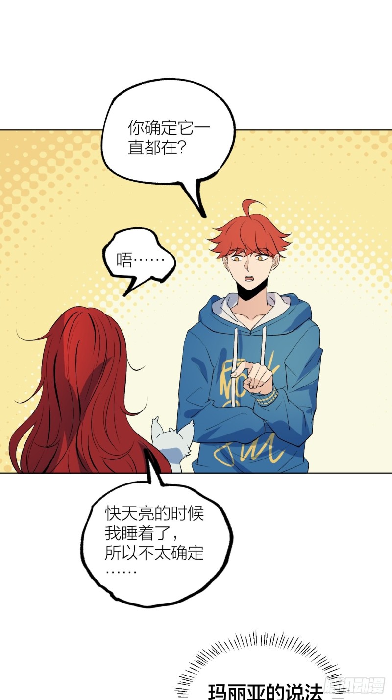 《无限氪金之神》猫咪真厉害 第16页