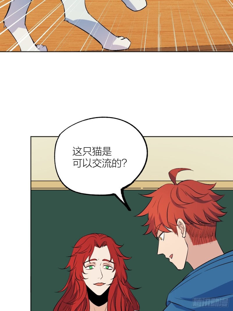 《无限氪金之神》猫咪真厉害 第21页