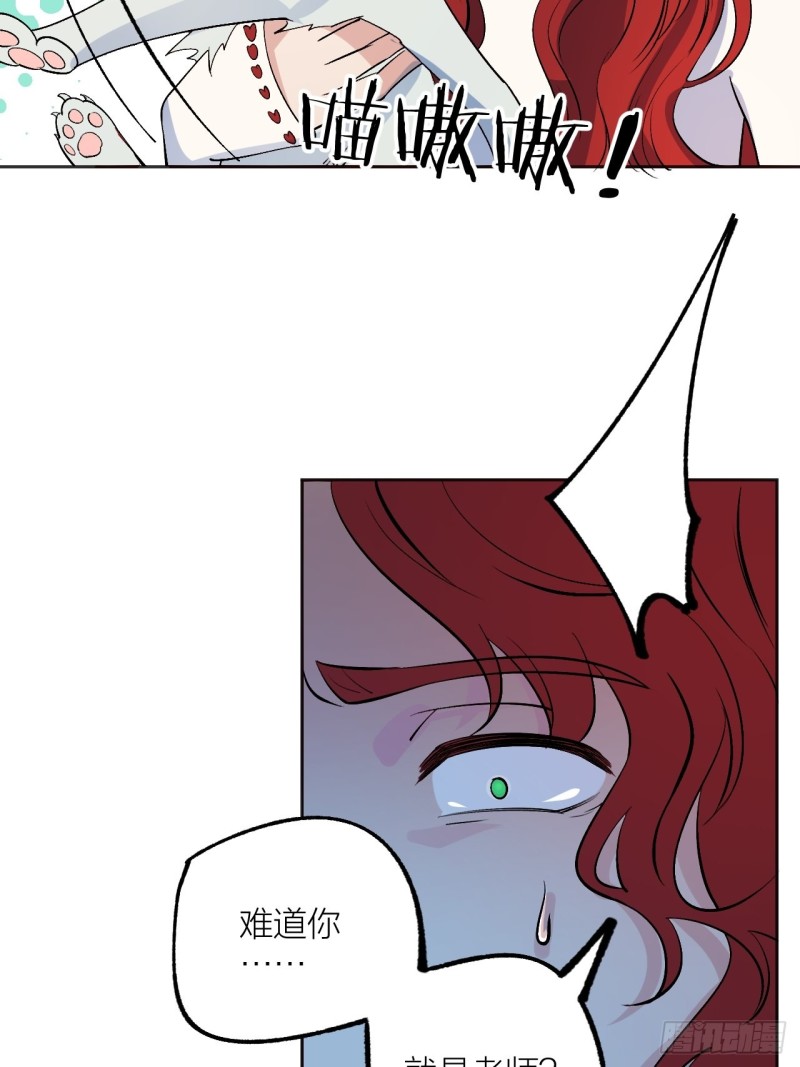 《无限氪金之神》欢迎自投罗网 第25页