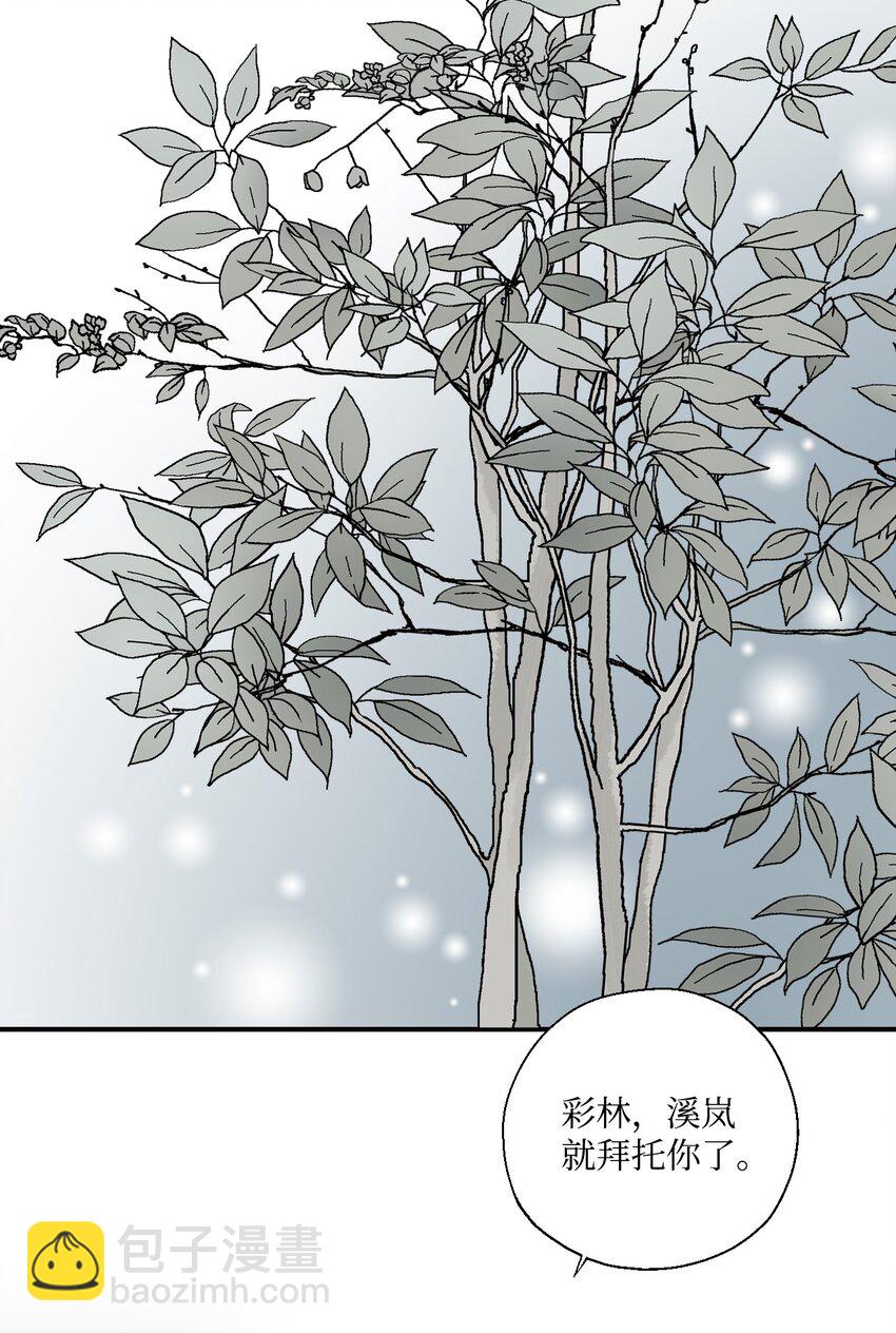 《花雨谣》05 危在旦夕 第17页