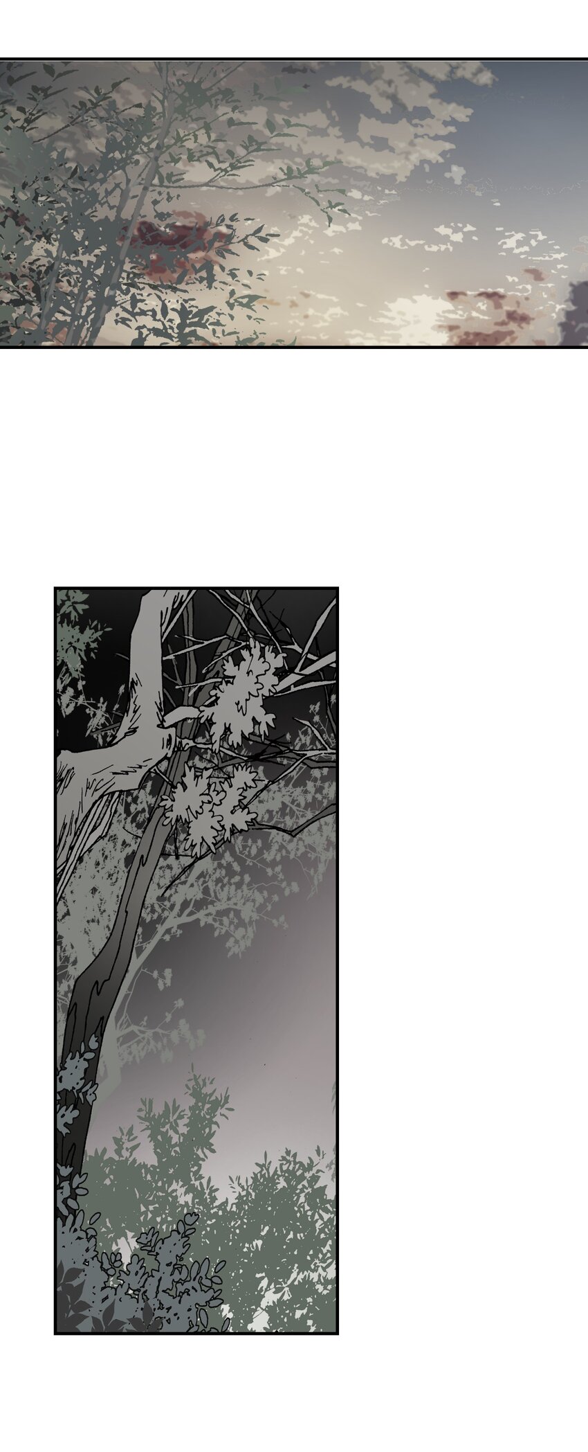 《花雨谣》06 过往今世 第10页