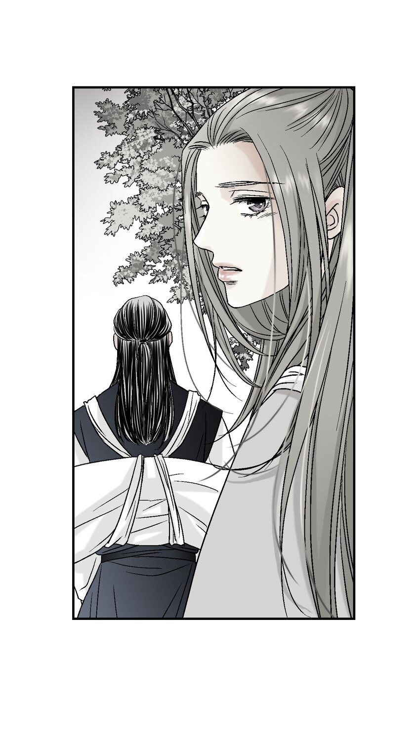 《花雨谣》06 过往今世 第12页
