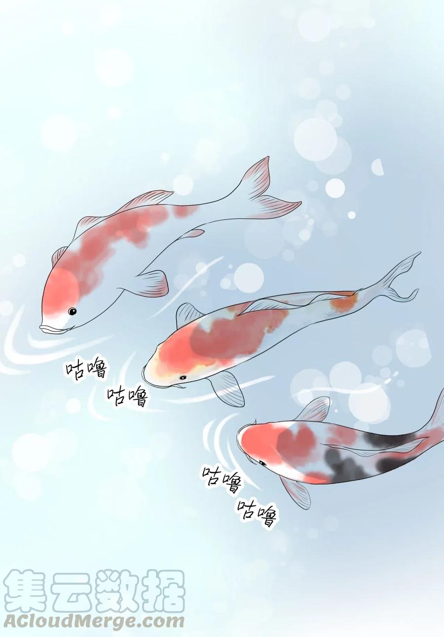 《花雨谣》27 不吐不快 第37页