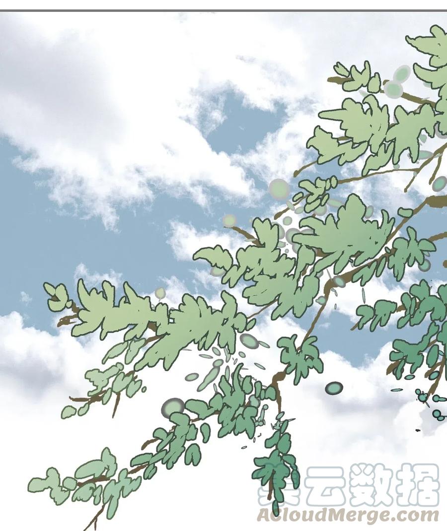 《花雨谣》34 新的头带 第17页
