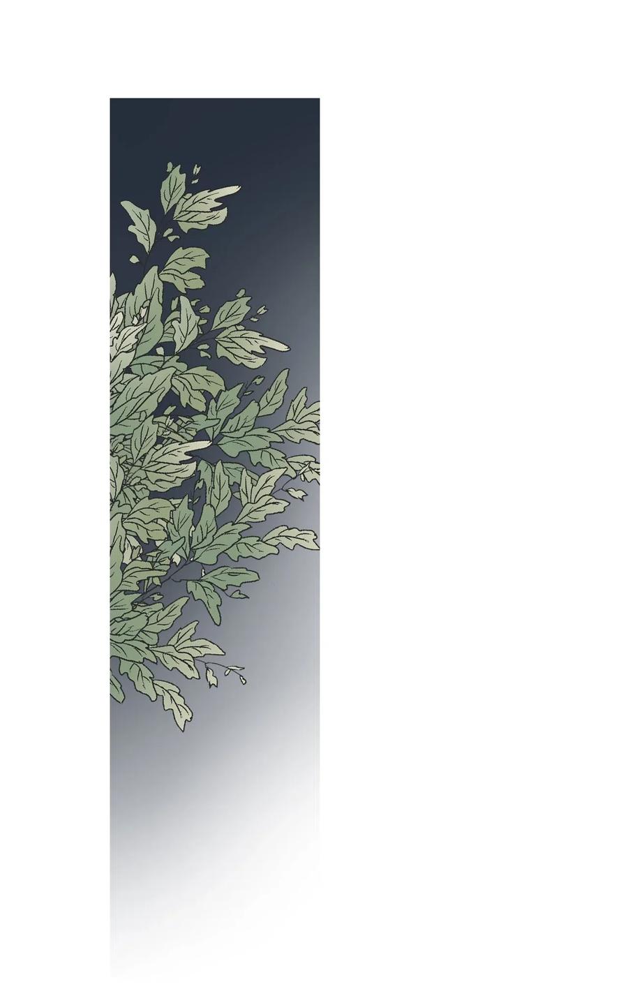 《花雨谣》40 溪岚思念 第20页