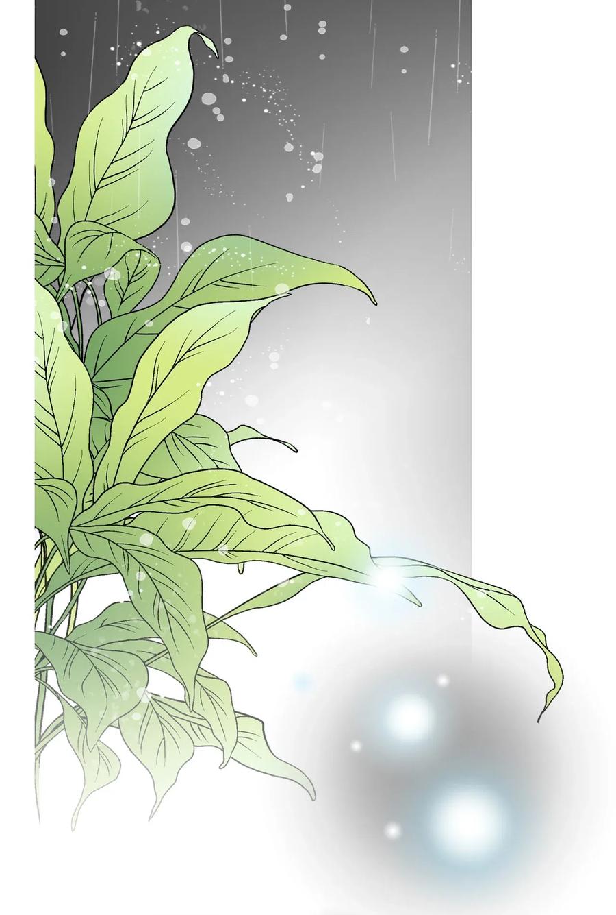《花雨谣》43 夜雨绵绵 第6页