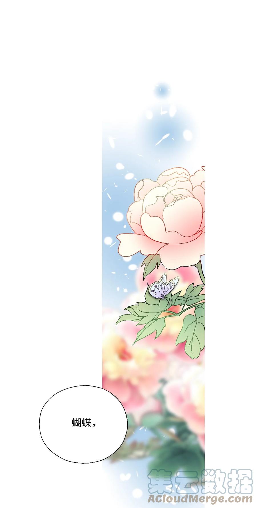 《花雨谣》83 雨中美乐 第13页