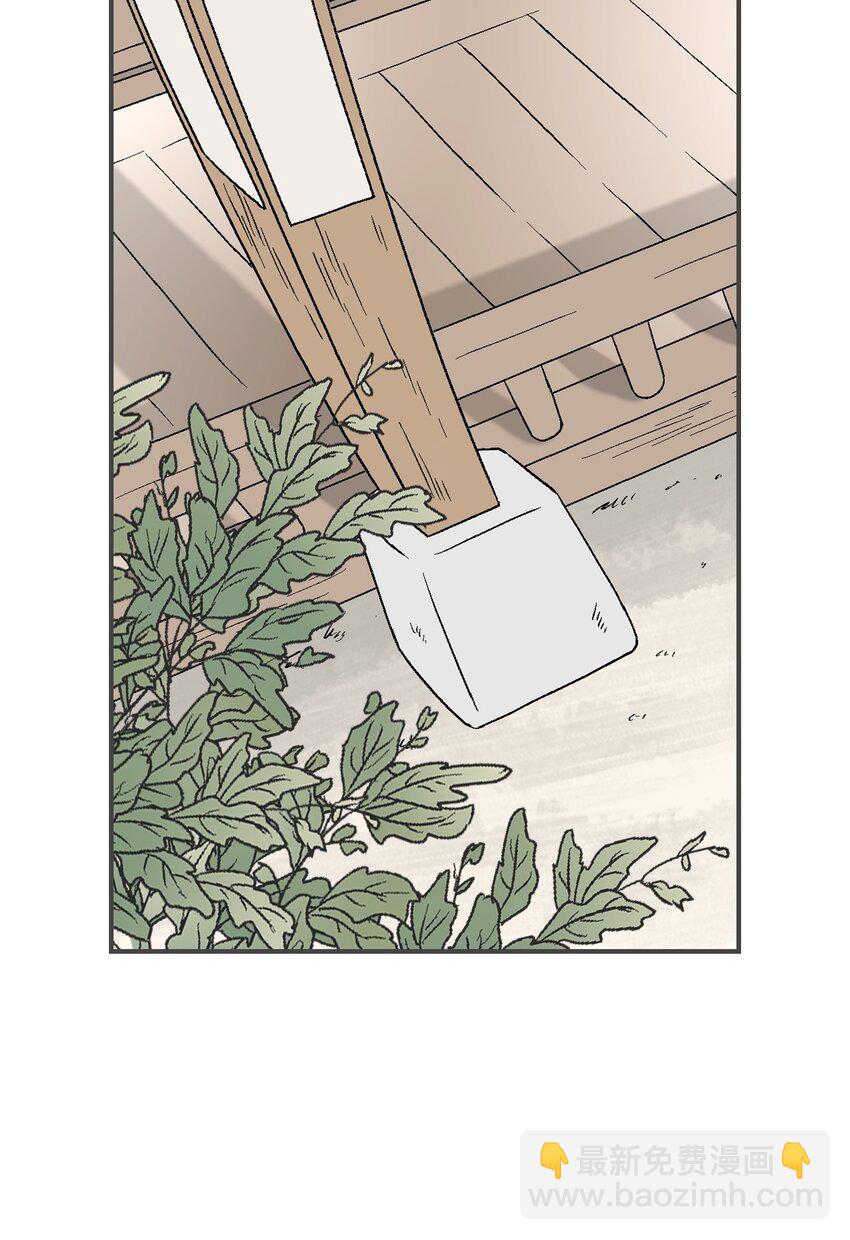 《花雨谣》99 人心惶惶 第41页