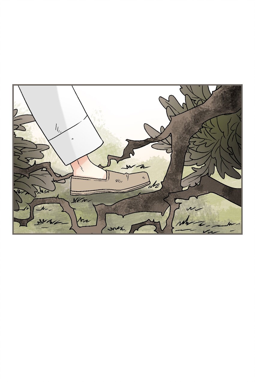 《花雨谣》108 唯一去处 第20页