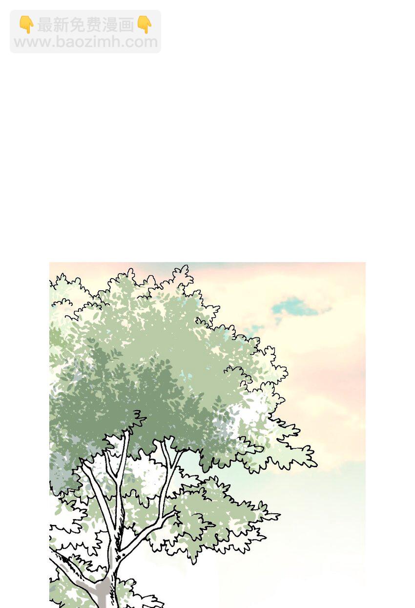 《花雨谣》110 寻人之路 第41页