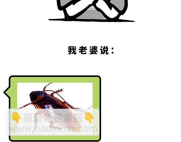 《蘑菇头的日常》南方人的回礼 第4页