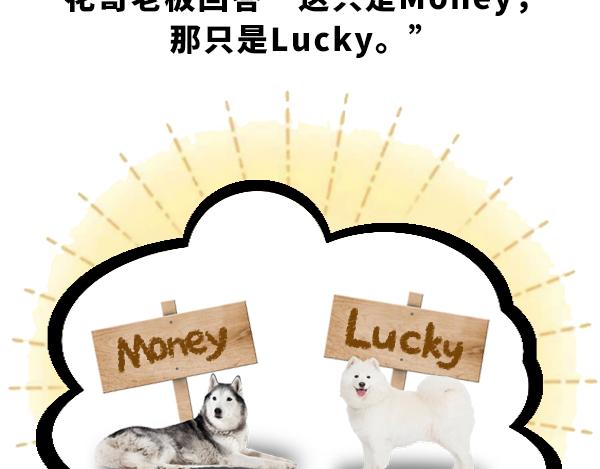 《蘑菇头的日常》money和lucky 第4页
