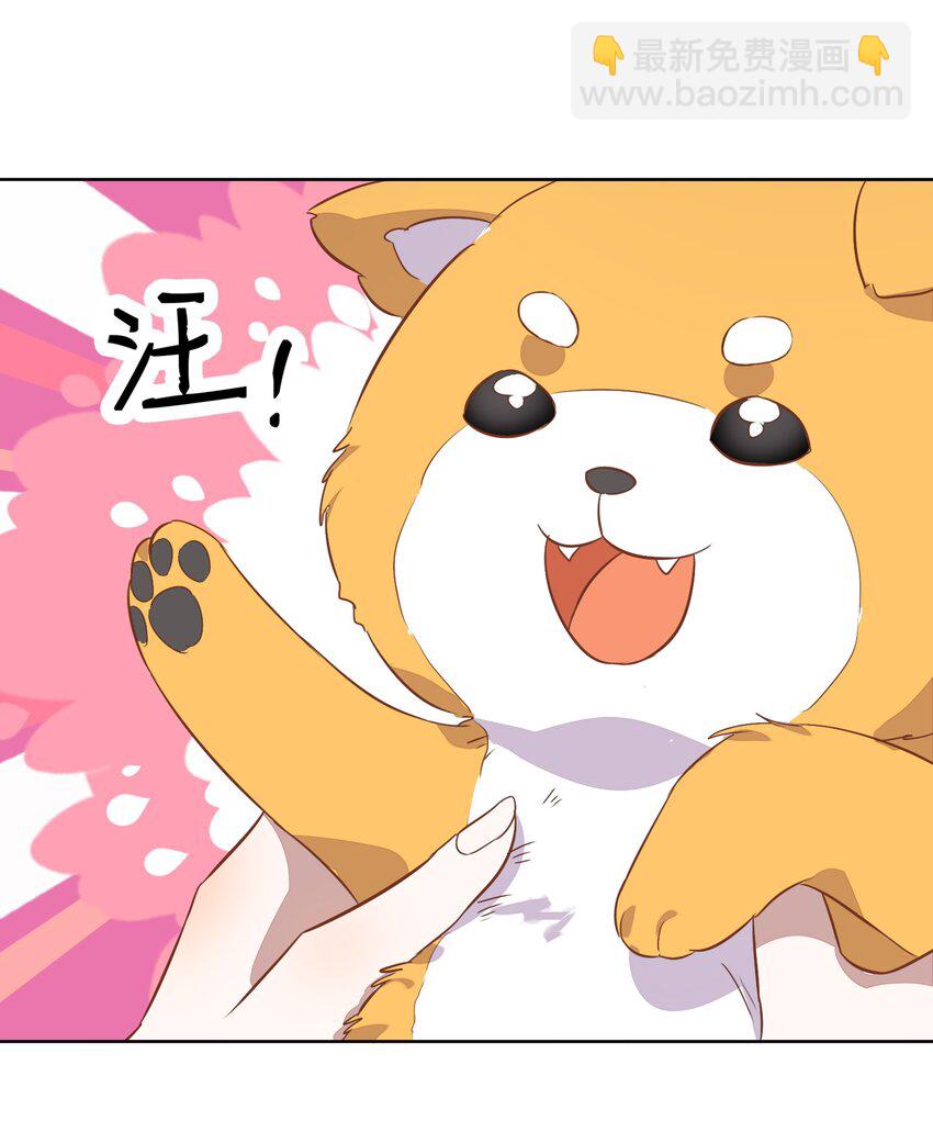 《年下男友套路深》009 金主的自我修养 第38页