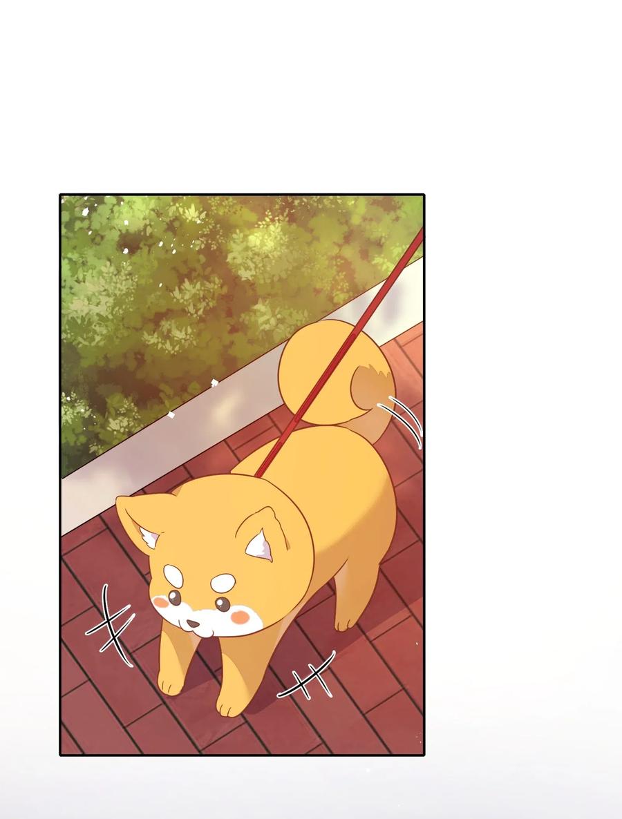 《年下男友套路深》057 柴柴跑丢了？！ 第41页