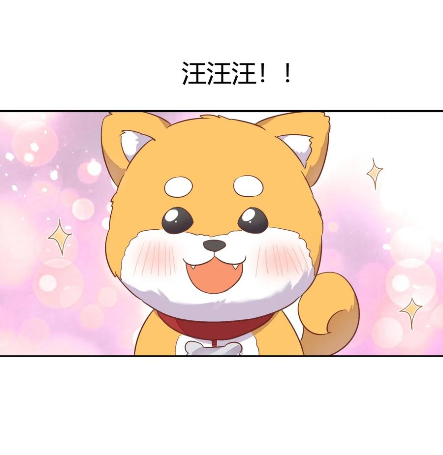 《年下男友套路深》057 柴柴跑丢了？！ 第48页