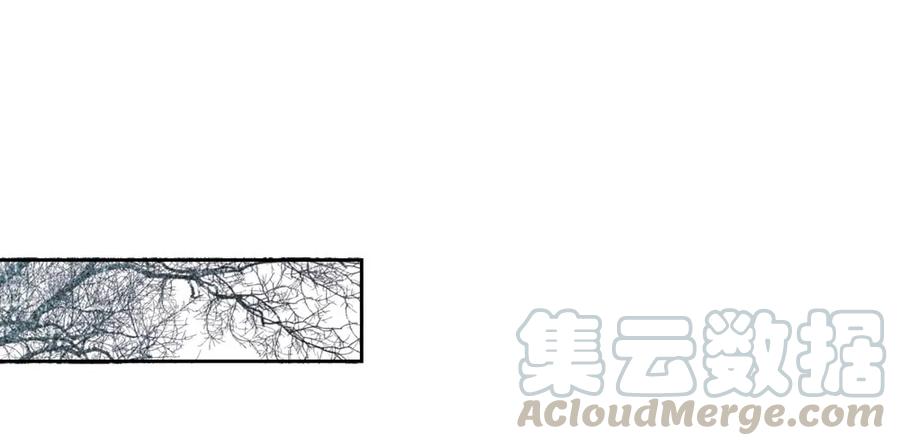 《孤鸿》就是要让世人都看在眼里。 第11页