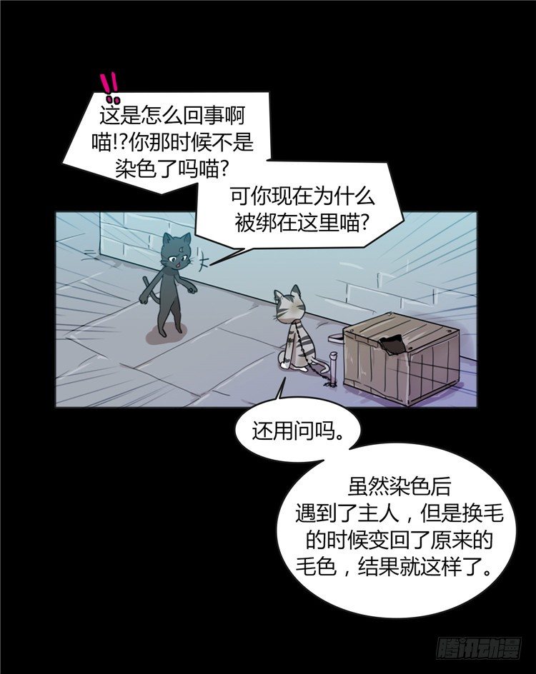 《剑灵》姜致 - 亚喵 4 第5页