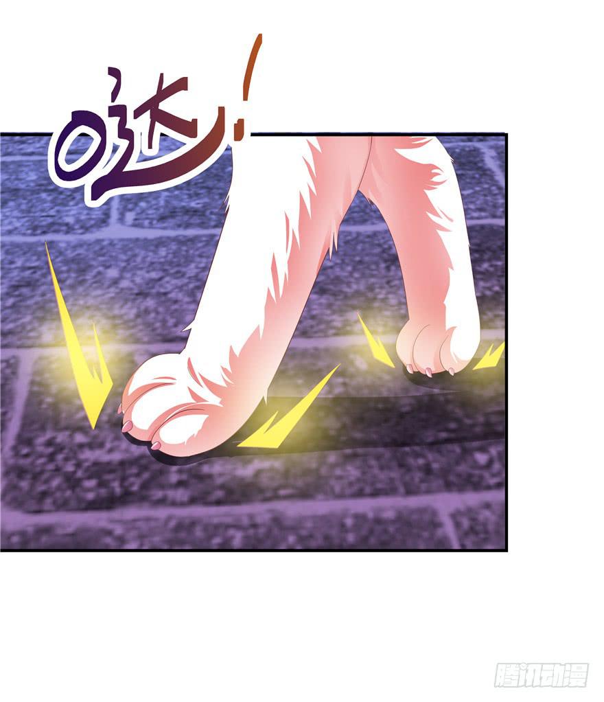 《全世界都爱我》二十七回 危险夜色 第3页