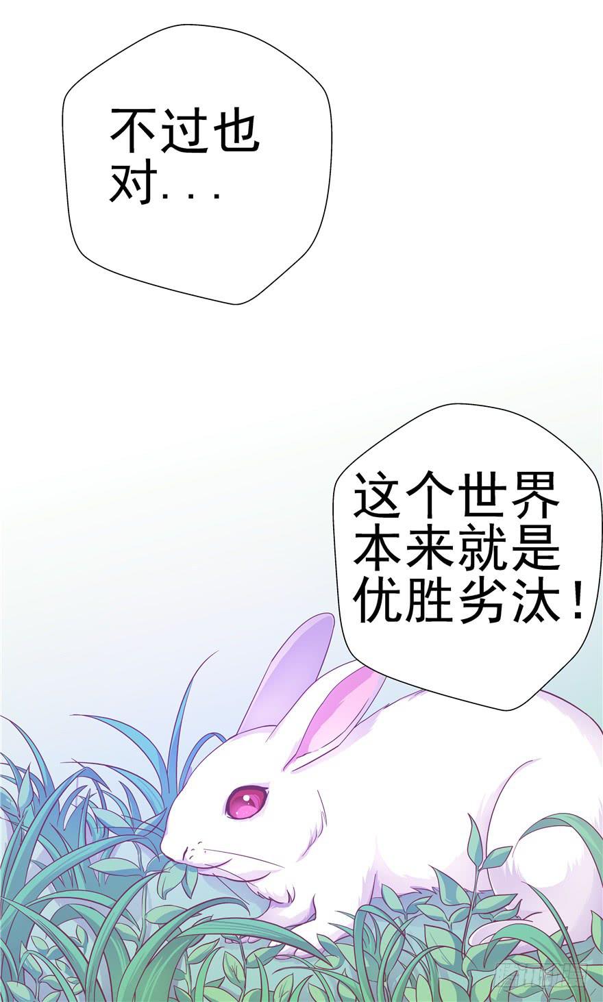 《全世界都爱我》37 弱肉强食 胜者为王 第36页