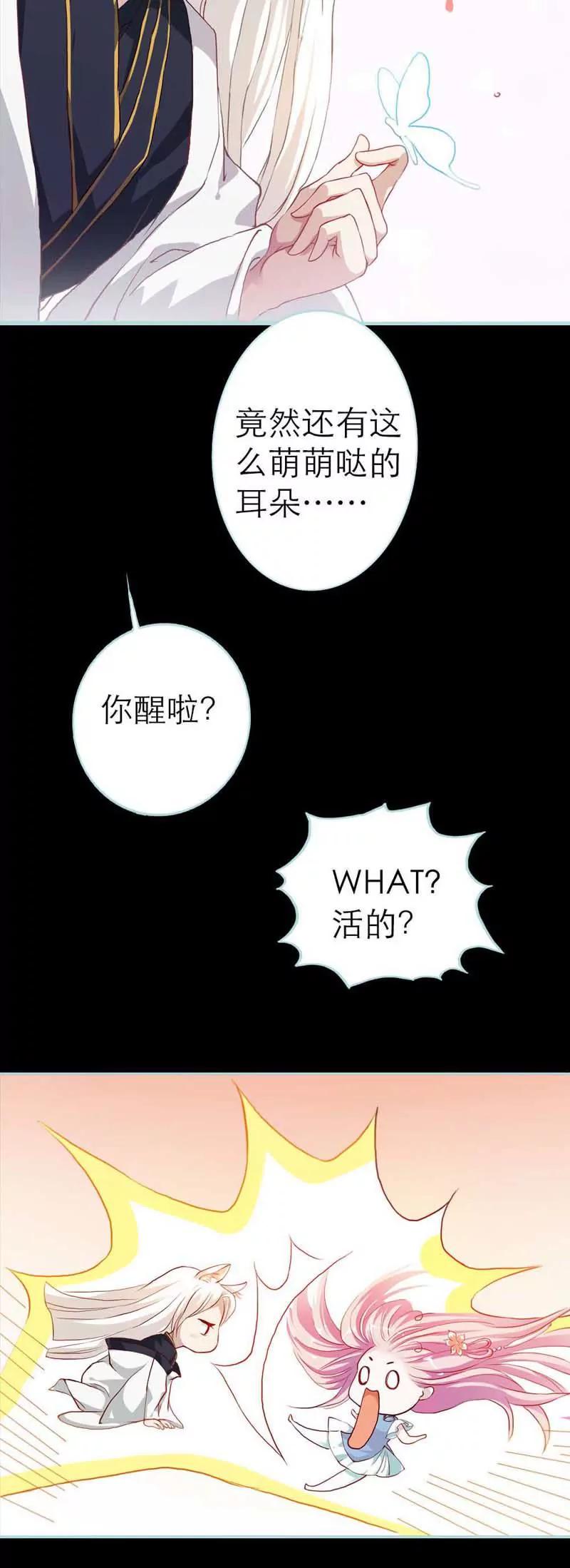 《狐帝独爱》003 都是你...做的坏事啦 第12页