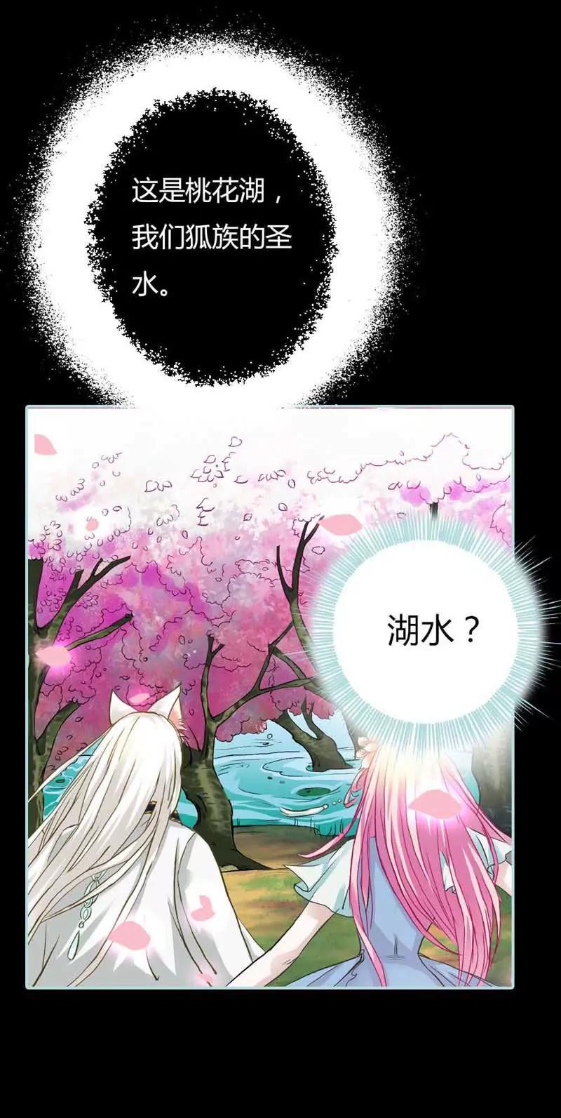 《狐帝独爱》004 莫非你要肉偿？ 第13页