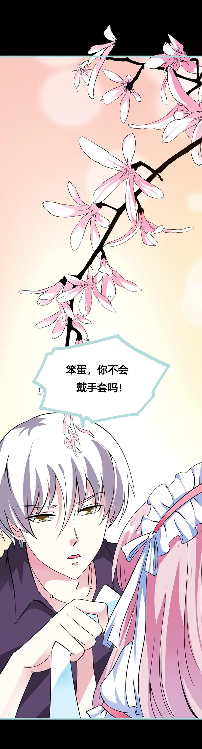 《狐帝独爱》040 你是笨蛋吗 第12页