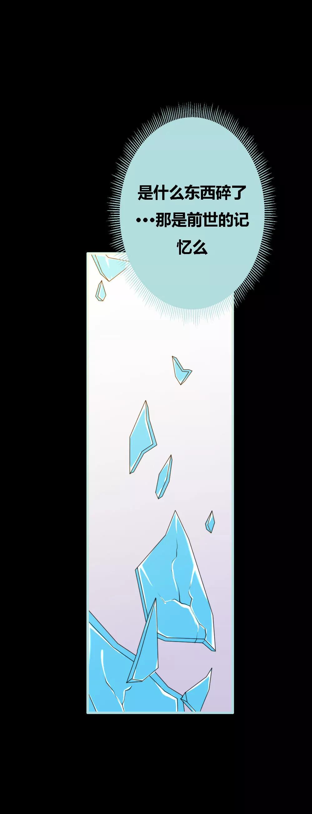 《狐帝独爱》068 前世记忆 第11页