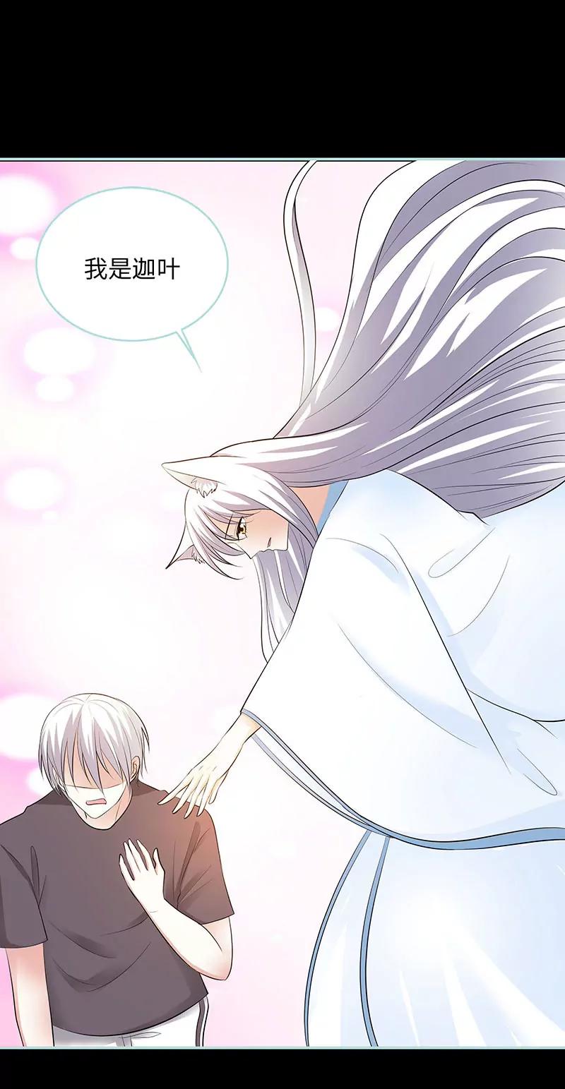 《狐帝独爱》080 究竟是谁！ 第26页