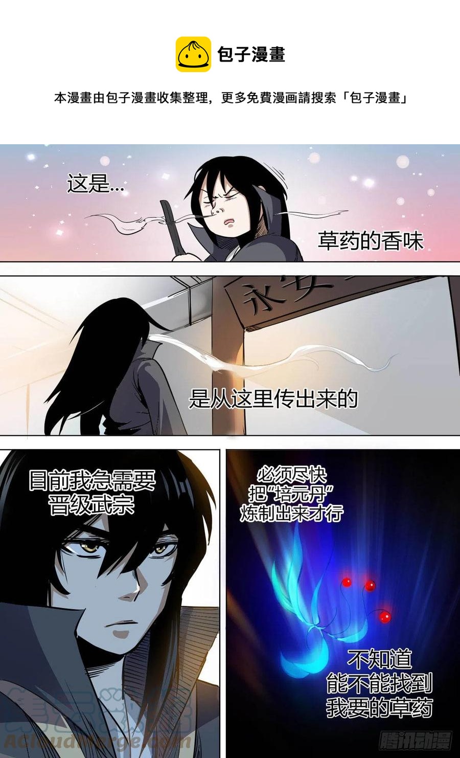 《我是圣尊》七七 - 流苏城 第4页