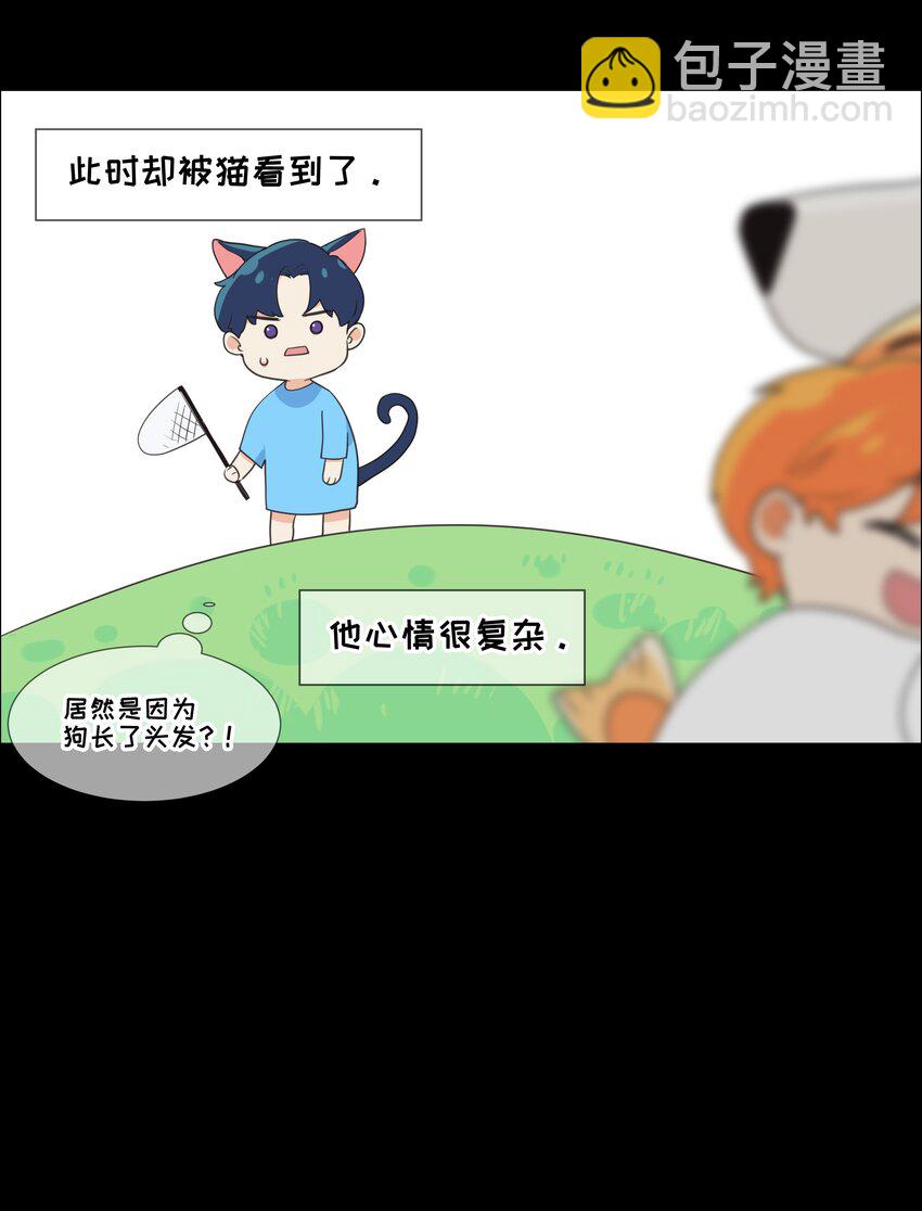 《并不是我想穿女装》番 外 第12页