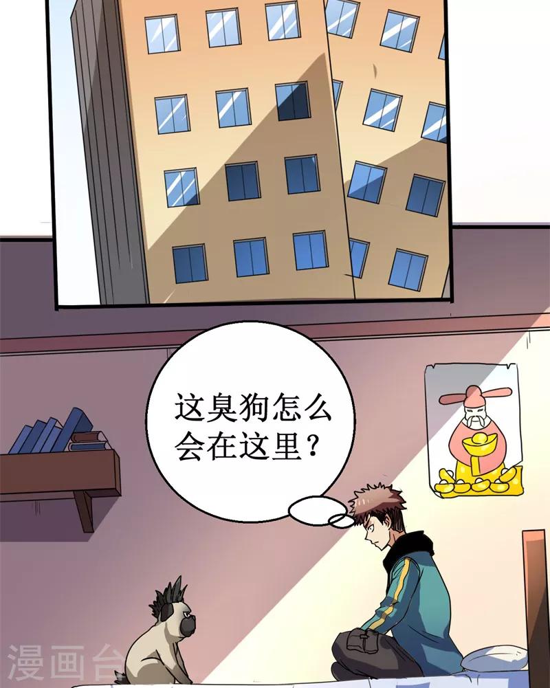 《被迫成为世界最强》第13话 巴哥竟是灵兽？！ 第19页