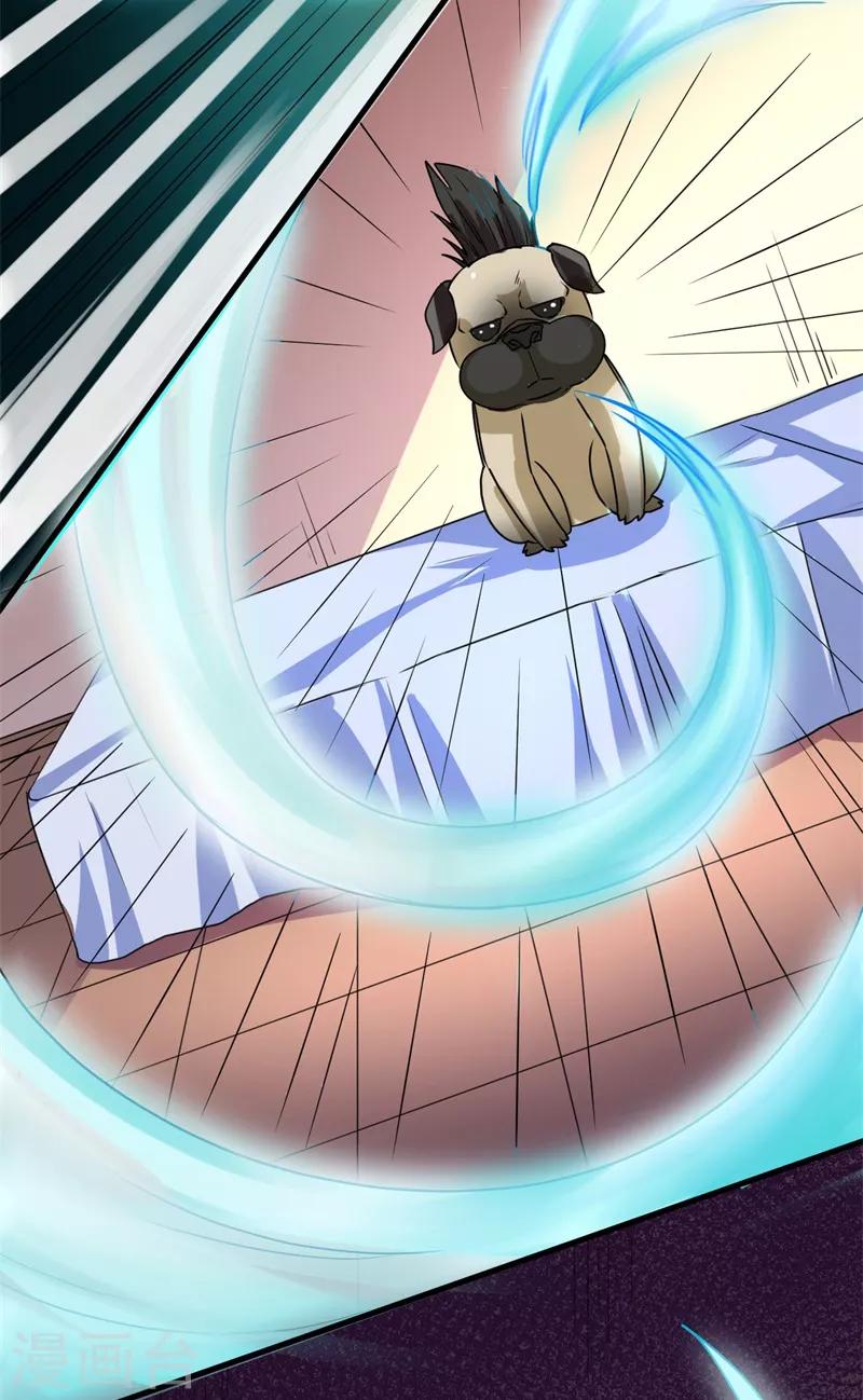 《被迫成为世界最强》第13话 巴哥竟是灵兽？！ 第25页