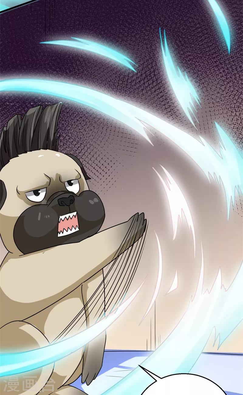 《被迫成为世界最强》第13话 巴哥竟是灵兽？！ 第26页