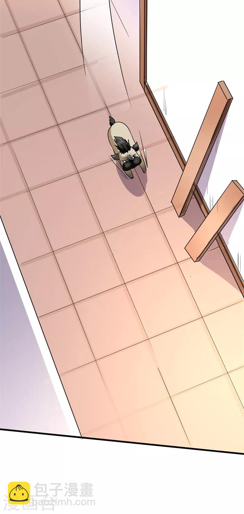 《被迫成为世界最强》第13话 巴哥竟是灵兽？！ 第41页
