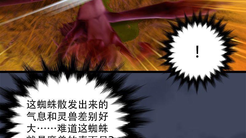 《剑玲珑》第6话蜘蛛 第12页