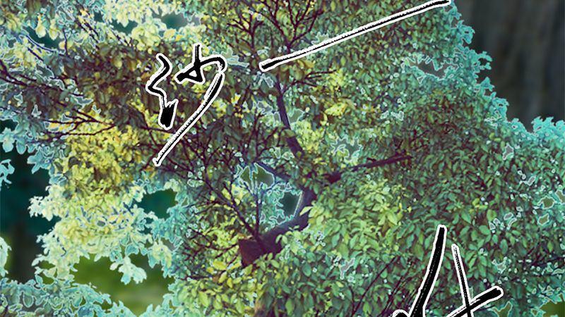 《剑玲珑》第41话仙盟总部 第3页