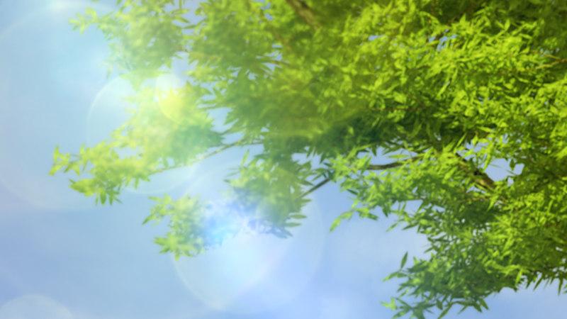 《剑玲珑》第56话新生 第50页