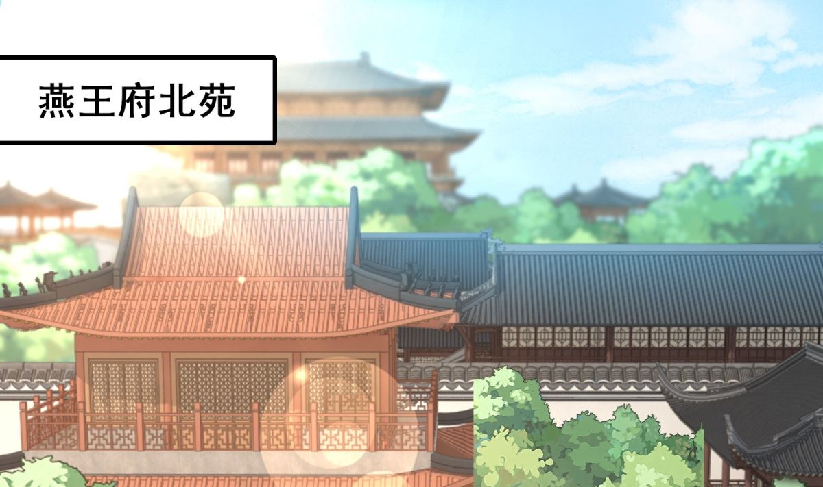 《盛世天命妃》第19话 愿为替命人 第2页