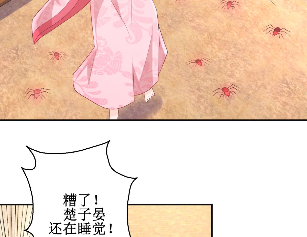 《盛世天命妃》第58话 蜘蛛夜袭 第29页