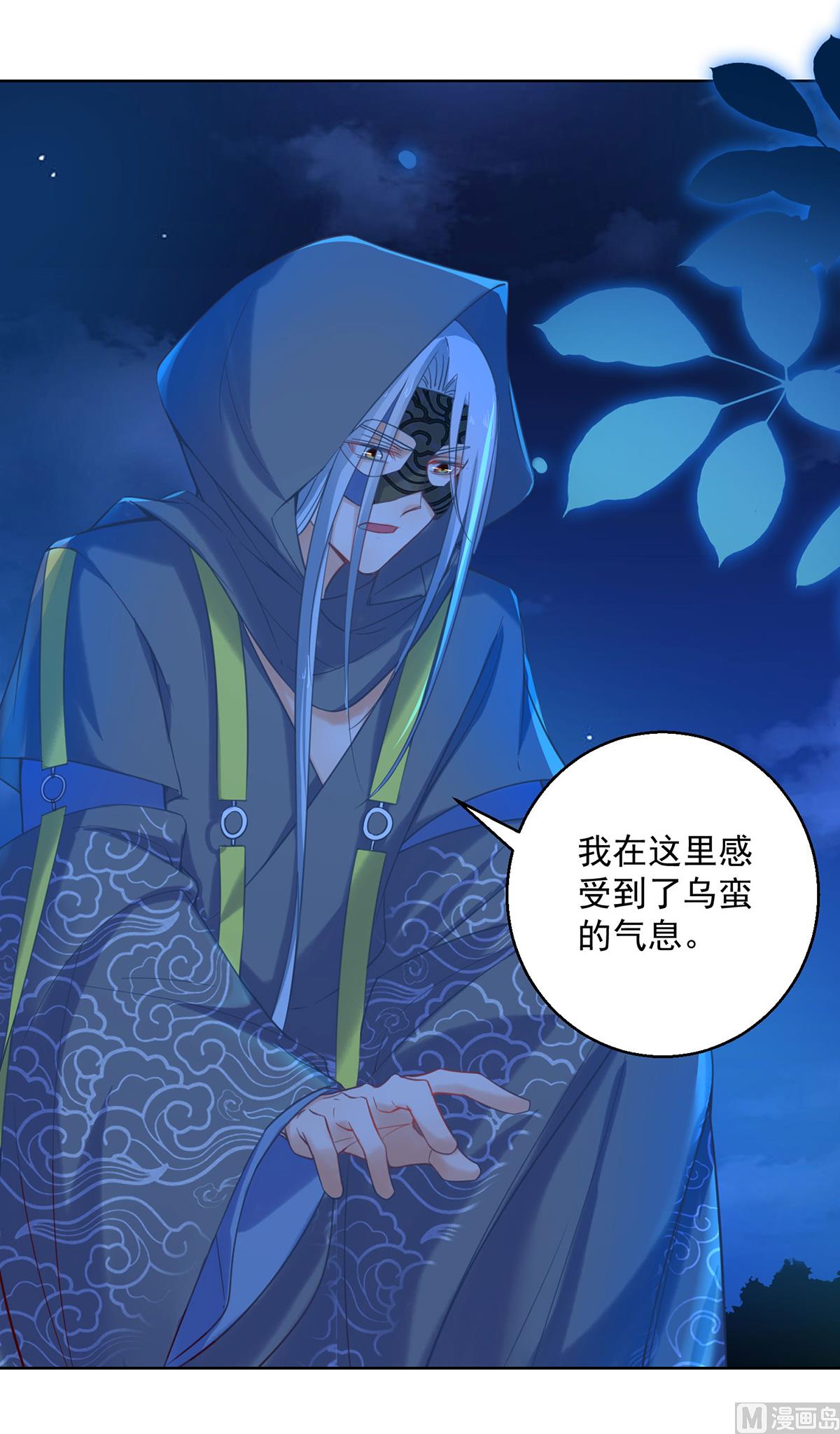 《盛世天命妃》第72话 乌蛮气息 第29页