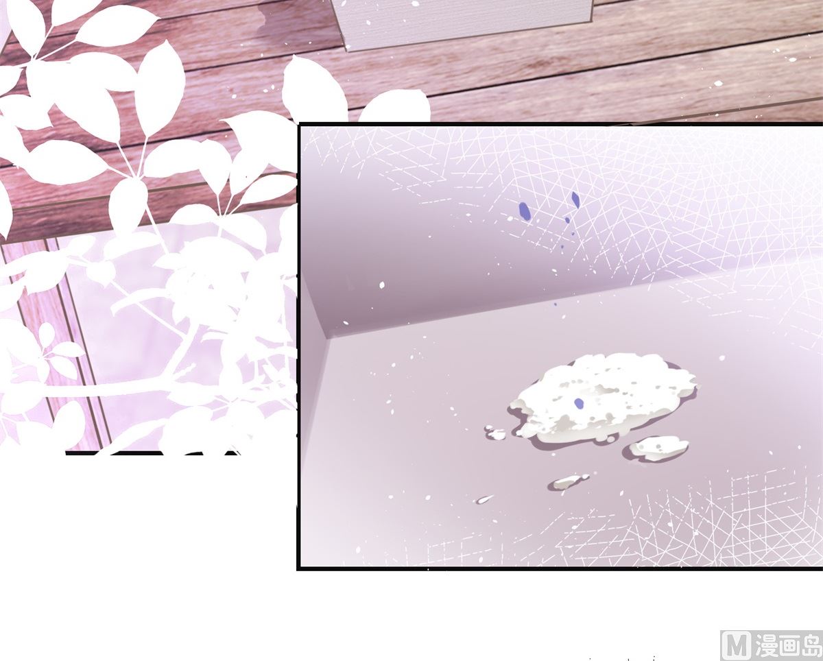 《盛世天命妃》第69话 蜘蛛，又是蜘蛛 第5页