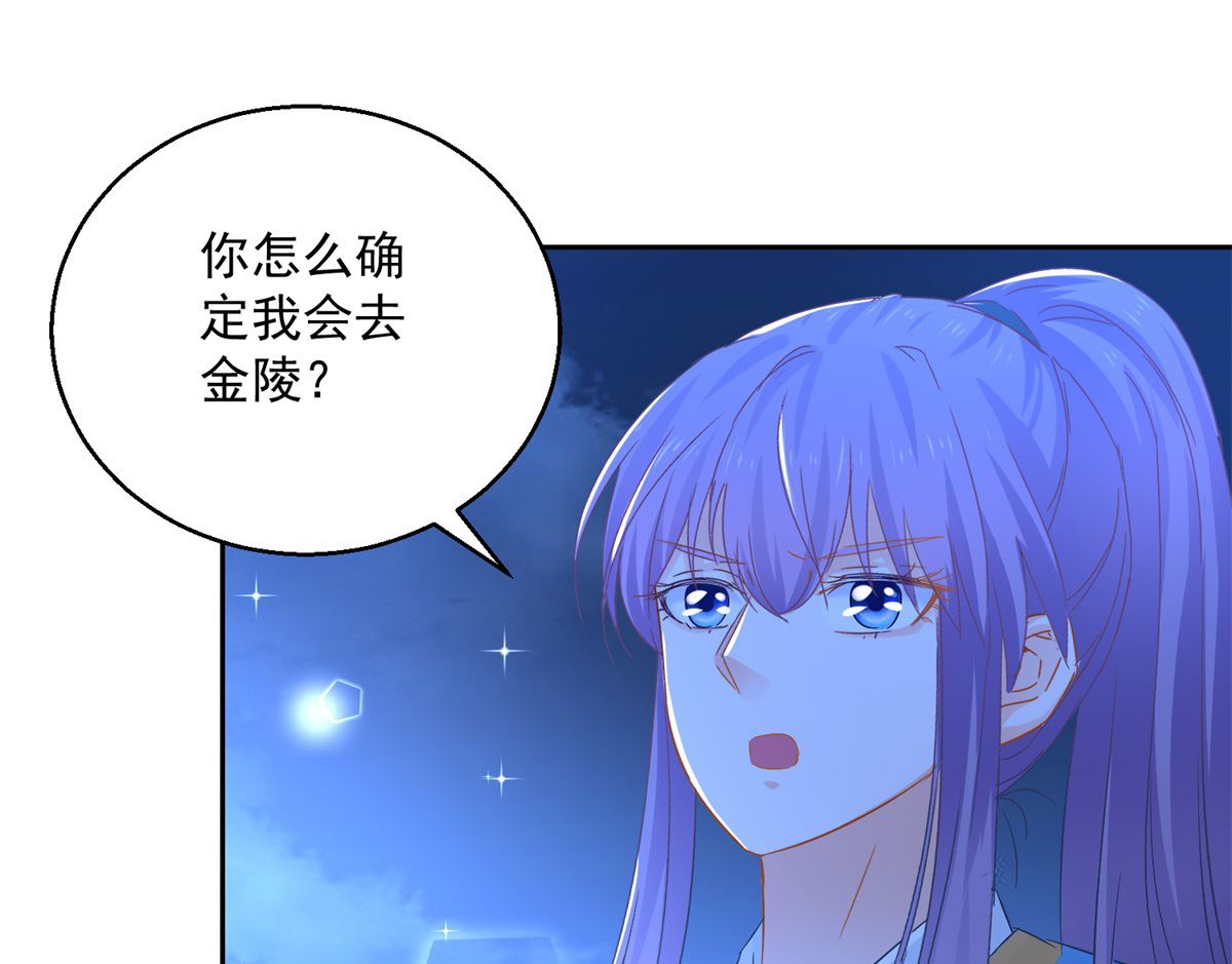 《盛世天命妃》第88话 再见晏王 第25页