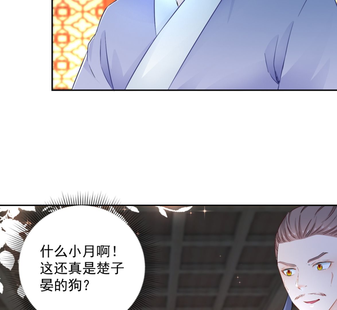《盛世天命妃》第96话 最多劫色 第49页