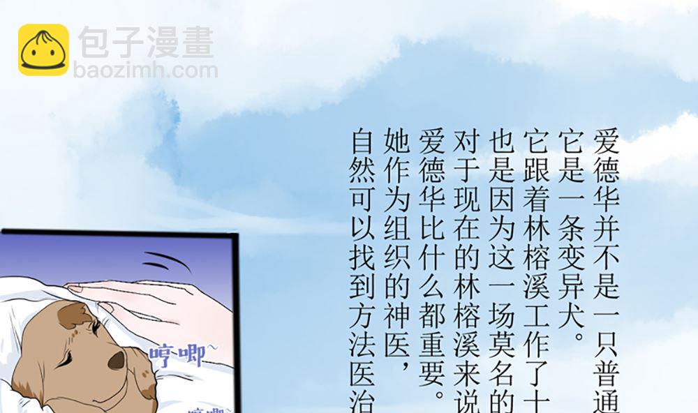 《盛世婚礼 老婆你别跑》第三话 偷我的血做什么 第4页