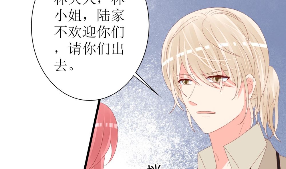 《盛世婚礼 老婆你别跑》第71话 陆家不是她永久的避难所 第14页